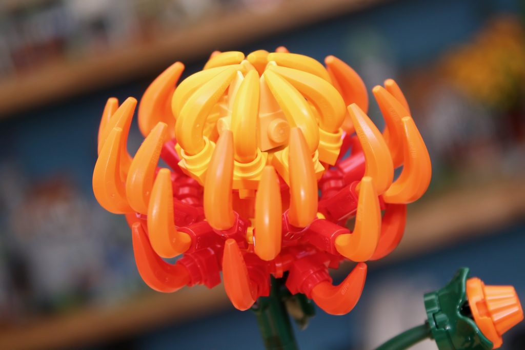 LEGO Botanicals 10368 Chrysanthemum 10369 Plum Blossom critique 10 1024x683