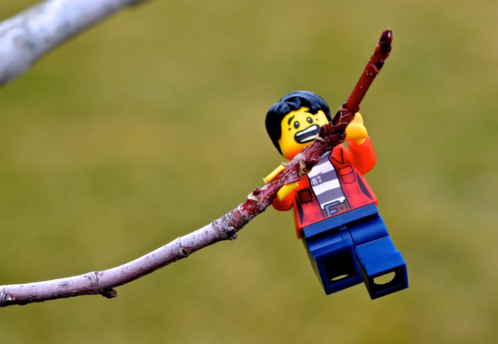 Brick Pic of the Day: Out on a limb