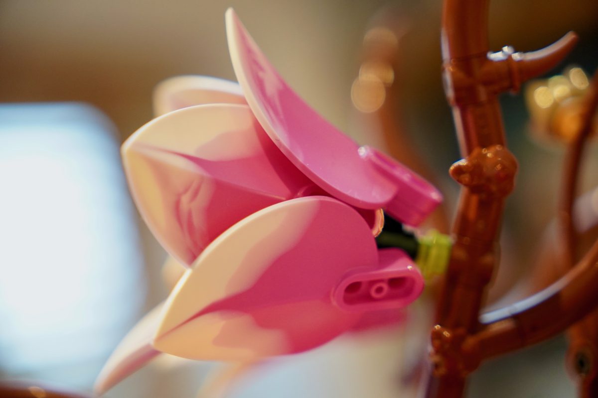 LEGO Botanicals 11510 Magnolia Branches review 9 1200x800