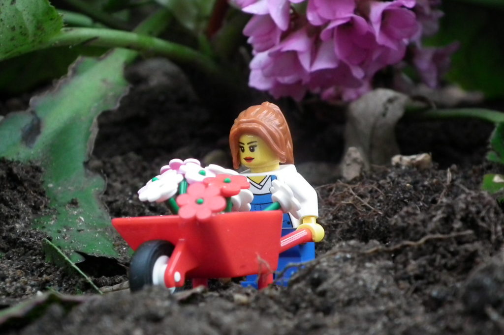 Brick Pic of the Day: Spot of gardening