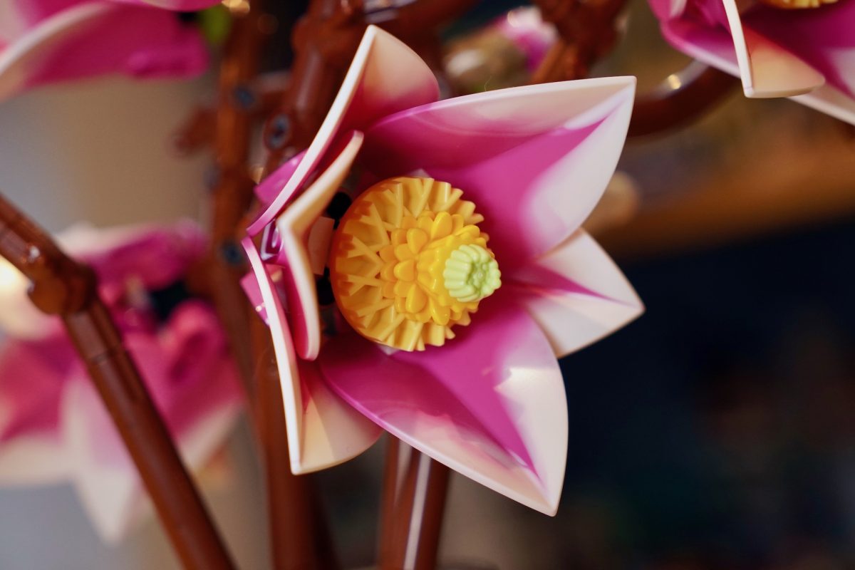 LEGO Botanicals 11510 Magnolia Branches review 6 1200x800