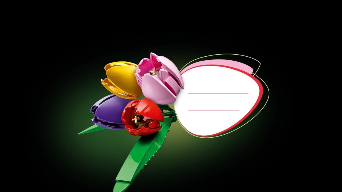 LEGO Botanicals 11501 Tulip Bouquet 19 1200x675
