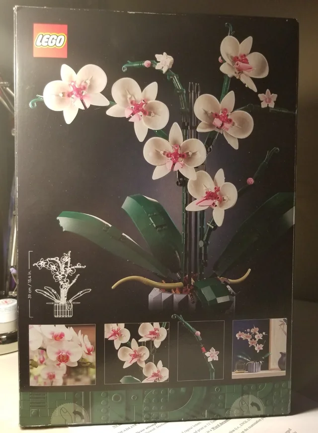 10311 Orchid 2