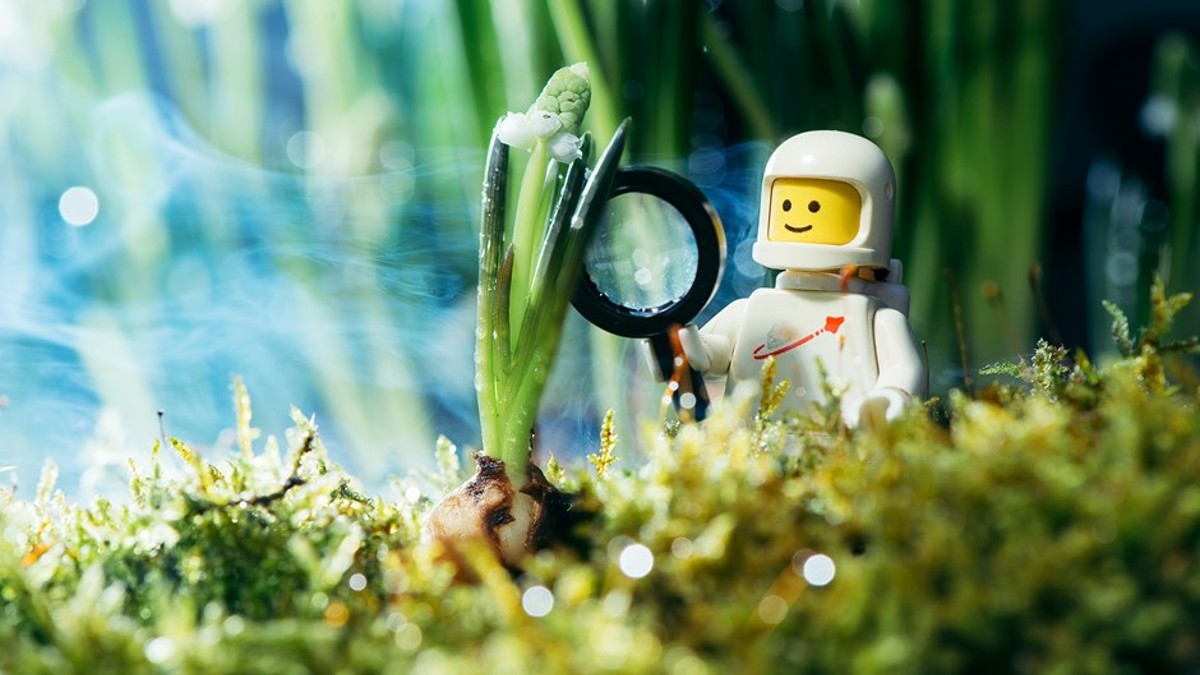 LEGO House starts 2023 season with photography exhibition