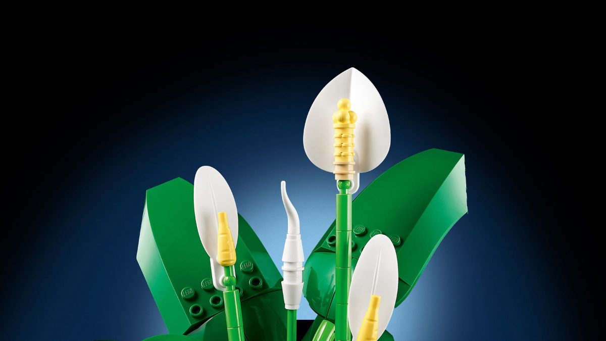 LEGO Botanicals 11504 Peace Lily 20 1200x675