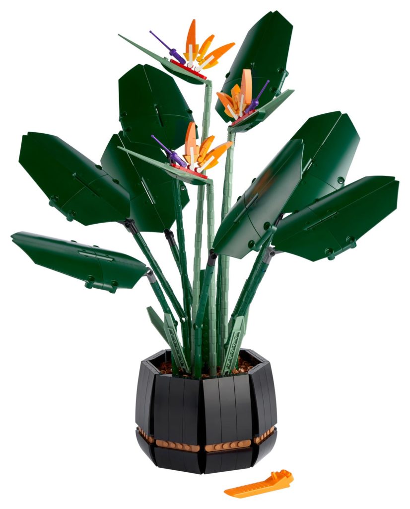 LEGO 10289 Bird of Paradise 1