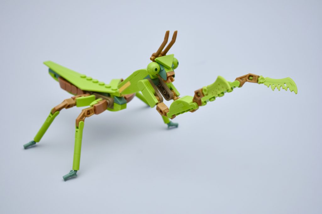 LEGO Ideas 21342 The Insects Collection Review 79 1024x683