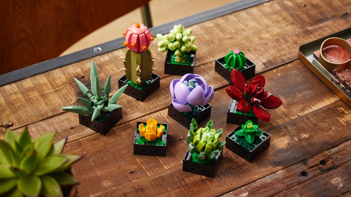LEGO 10309 Succulents surprises TikTok with a curious addition