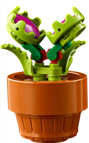 10329 tiny plants venus fly trap