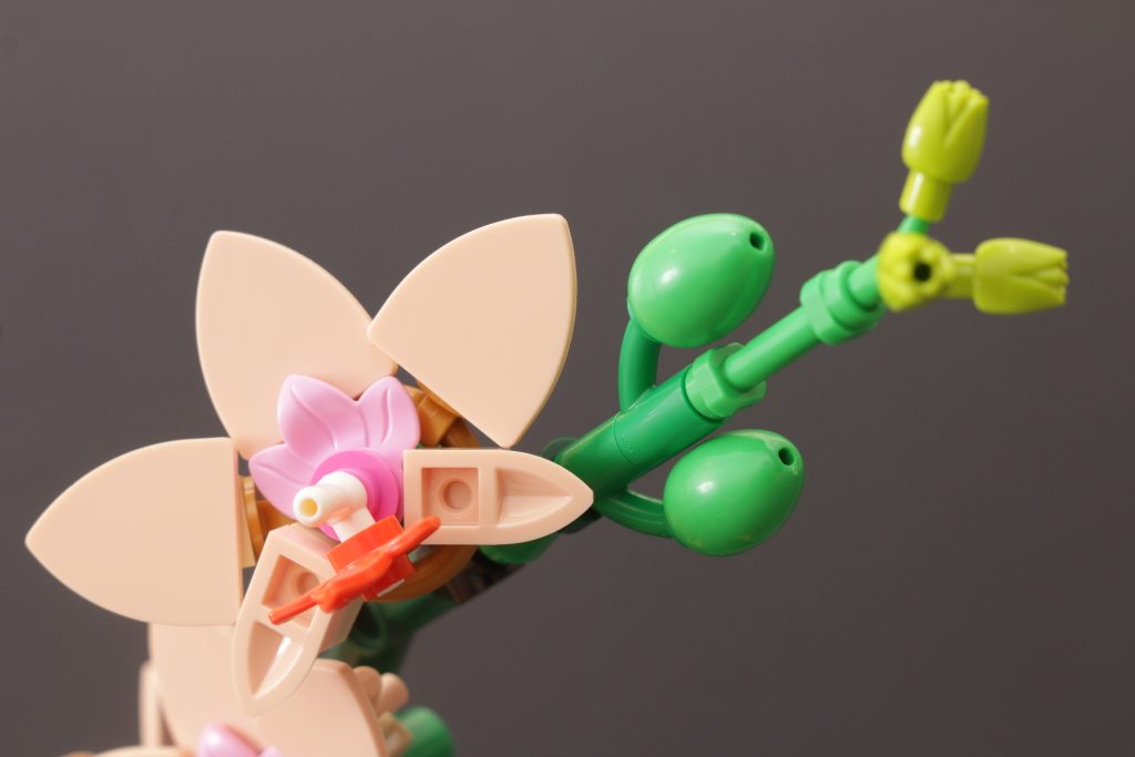 LEGO Botanicals 10343 Mini Orchid and 10344 Lucky Bamboo review 14 1024x683