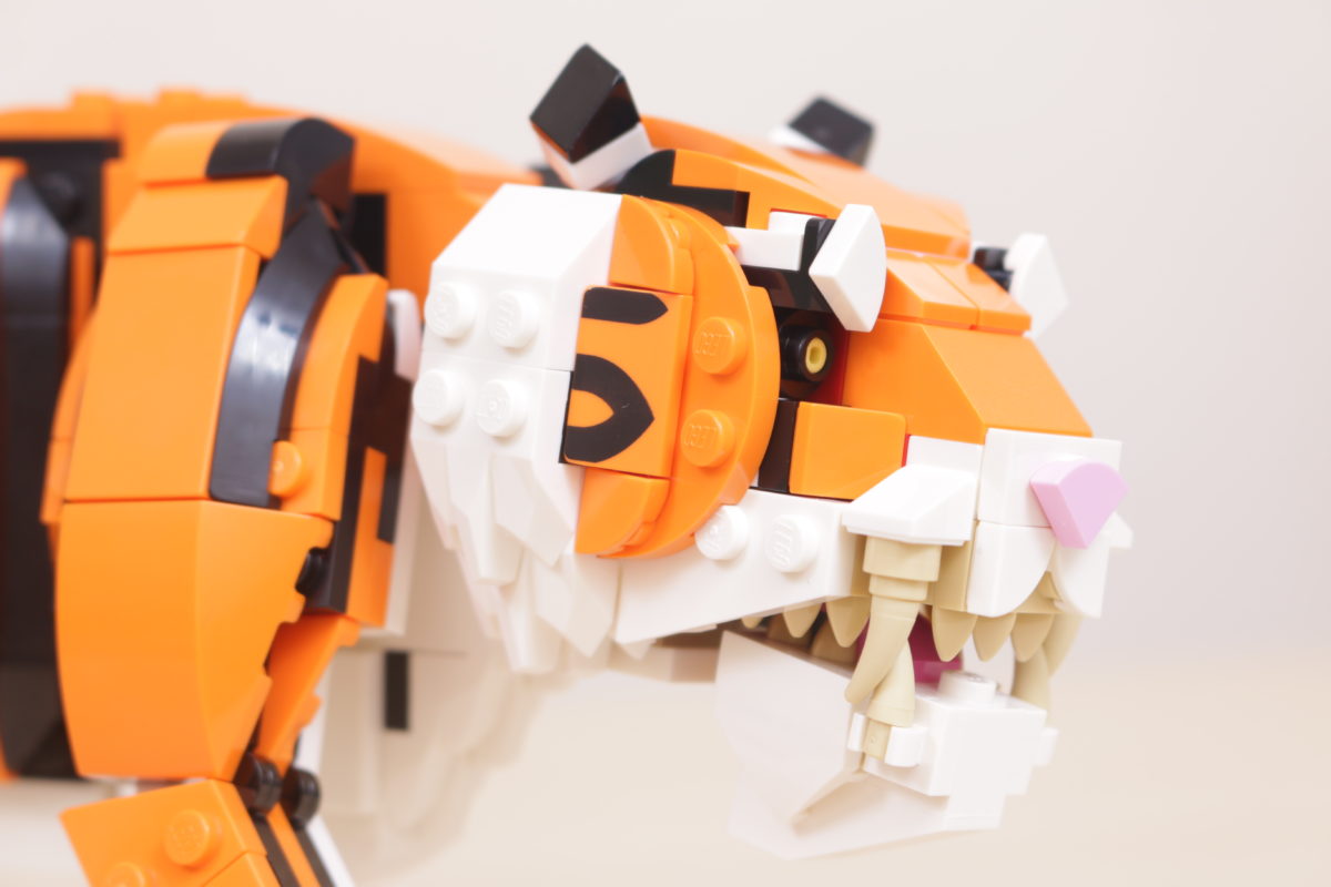 LEGO Creator 3 in 1 31129 Majestic Tiger review 12