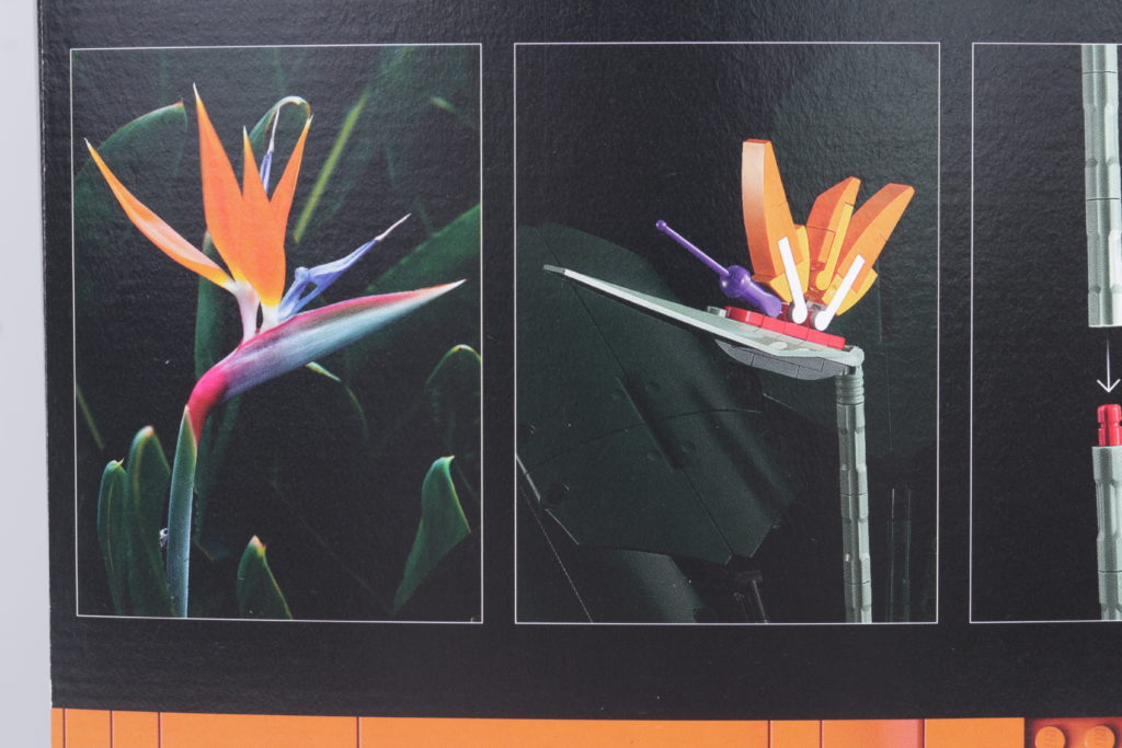 LEGO Botanical Collection 10289 Bird Of Paradise reveal 4