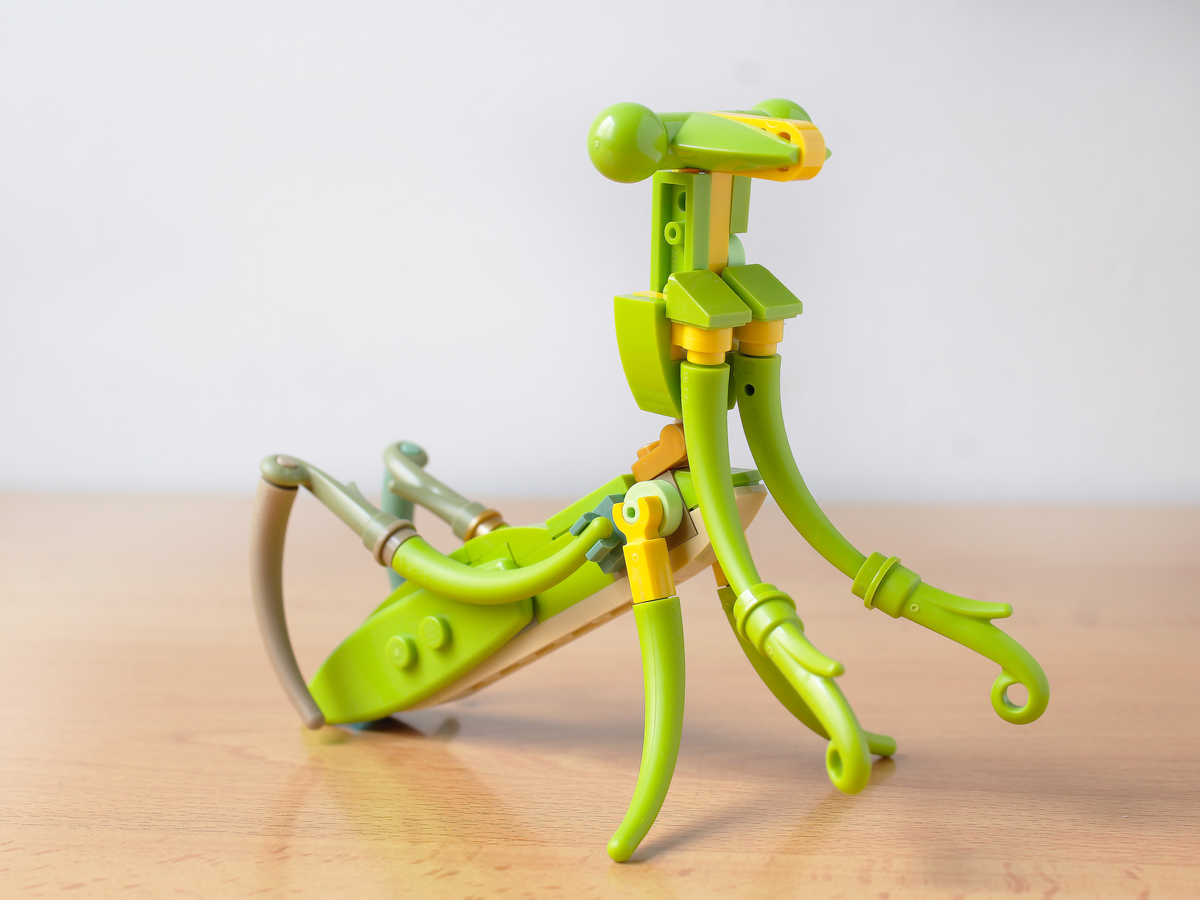 LEGO Ideas LEGO Insects 6