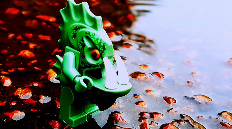 Brick Pic of the Day: From the depths