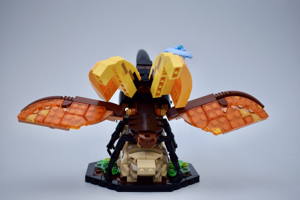LEGO Ideas 21342 The Insects Collection Review 43 1024x683