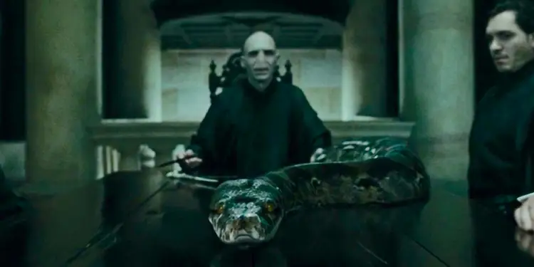 Nagini