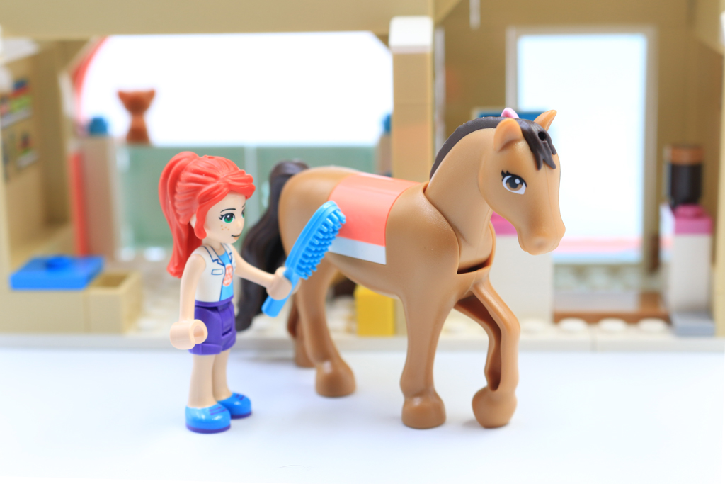 41446HeartlakeCityVetClinic5