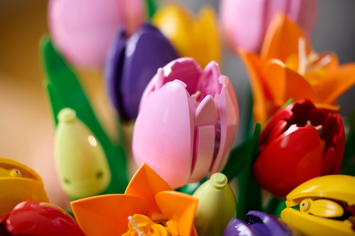 LEGO Botanicals 11501 Tulip Bouquet 13 1200x800