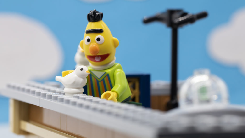bert with pigeons 1