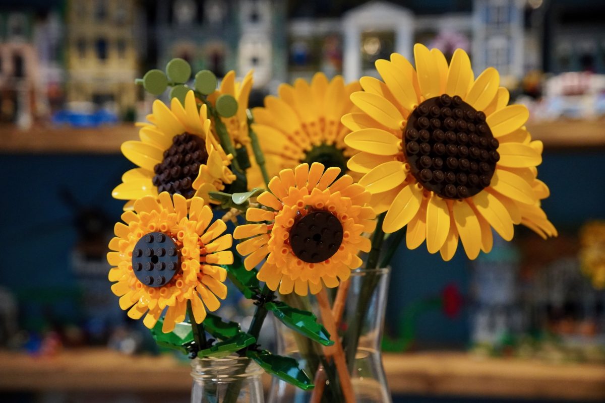 LEGO Botanicals 11502 Sunflower Bouquet 40524 Sunflowers review 2 1200x800