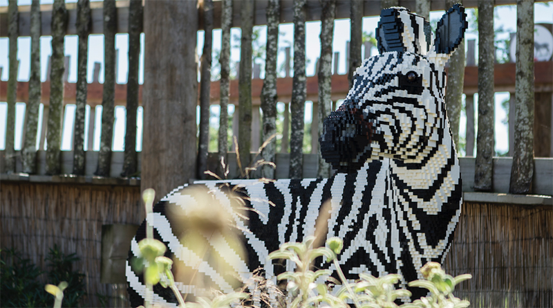 Great Brick Safari LEGO exhibit arrives at Whipsnade Zoo today