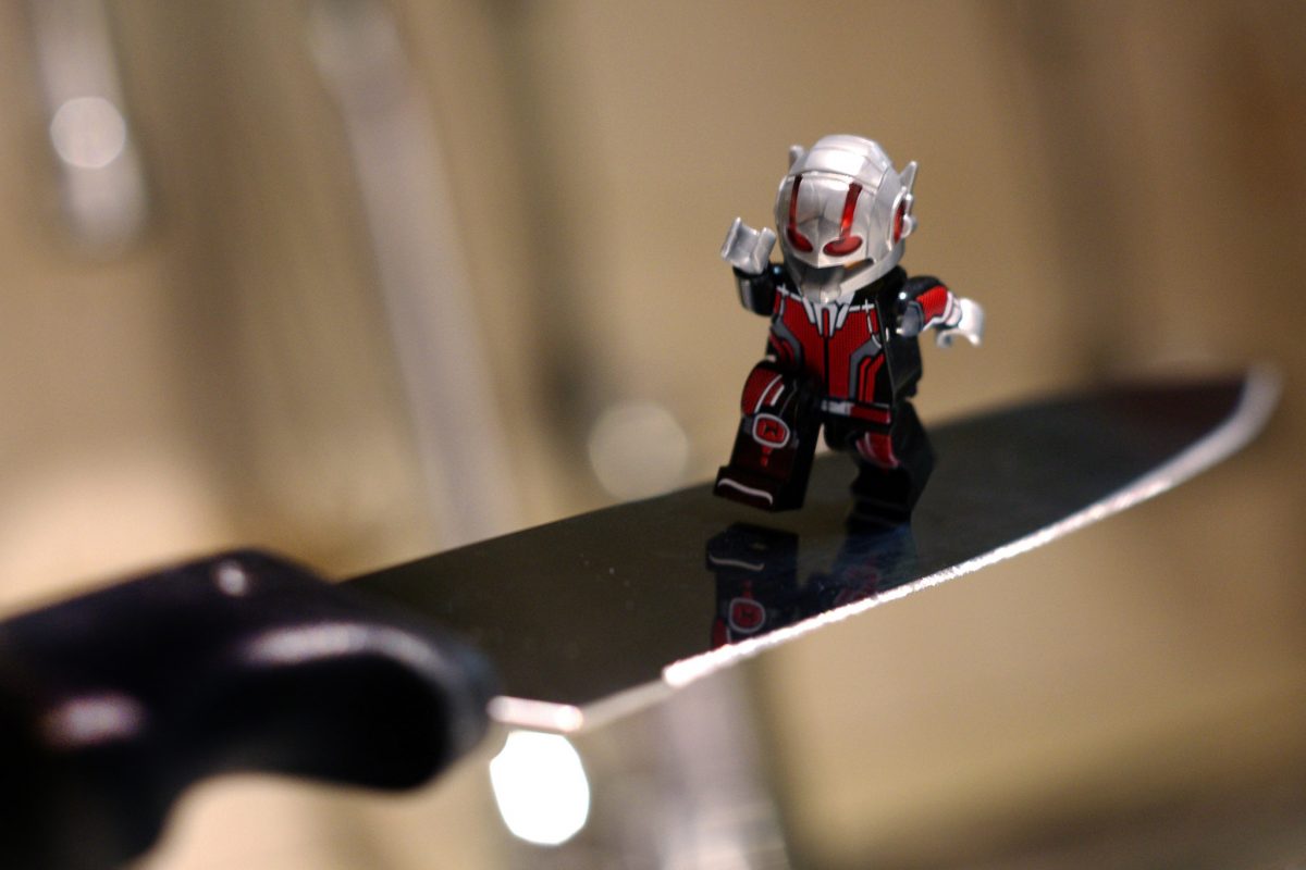 Brick Pic of the Day: Ant-Man