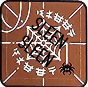 NINJAGO 71861 mispelling sleep sleen