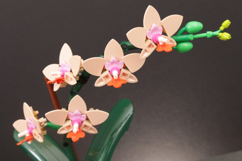 LEGO Botanicals 10343 Mini Orchid and 10344 Lucky Bamboo review 11 1024x683