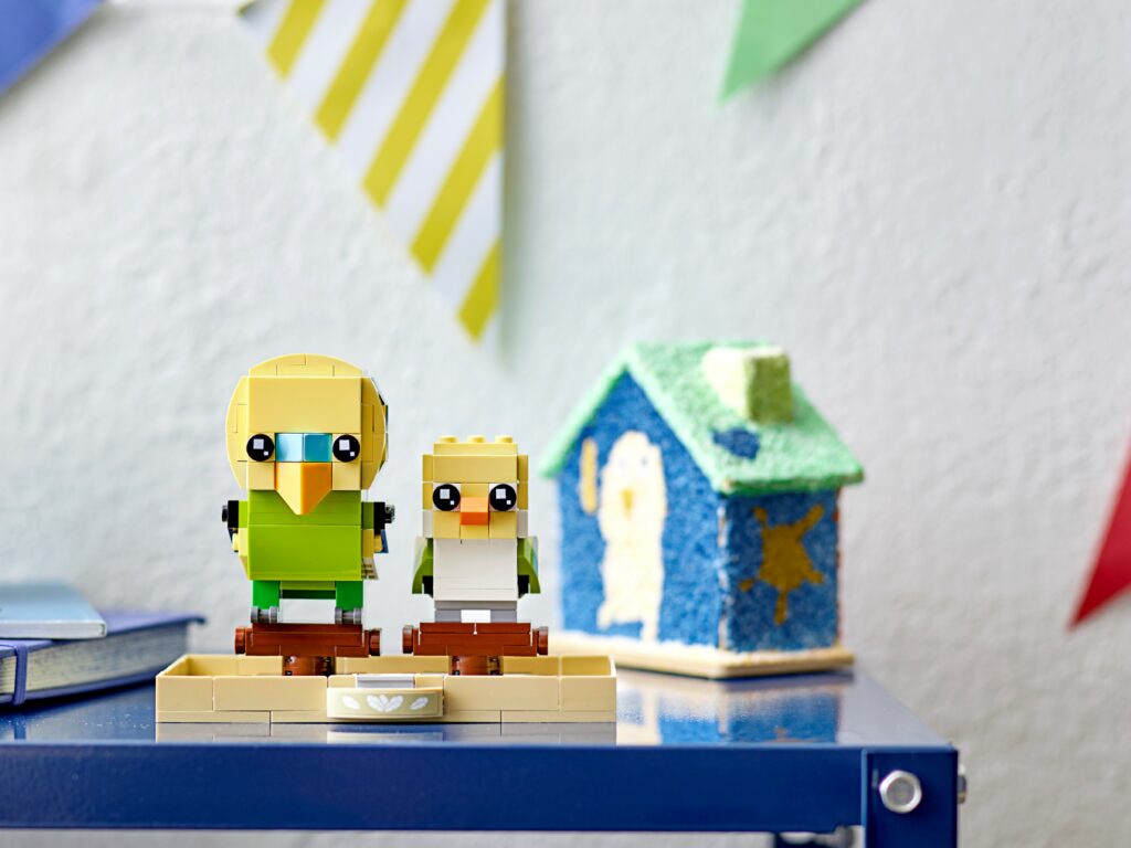 40443 alt3 1 1024x768