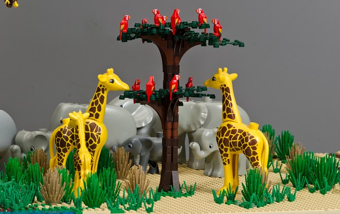 Brick Wonders Safari