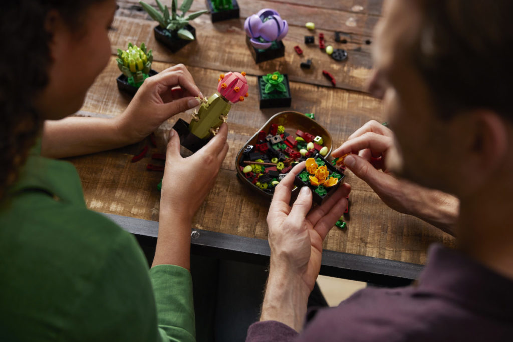 LEGO Creator Expert Botanical Collection 10309 Succulents 11 1024x684
