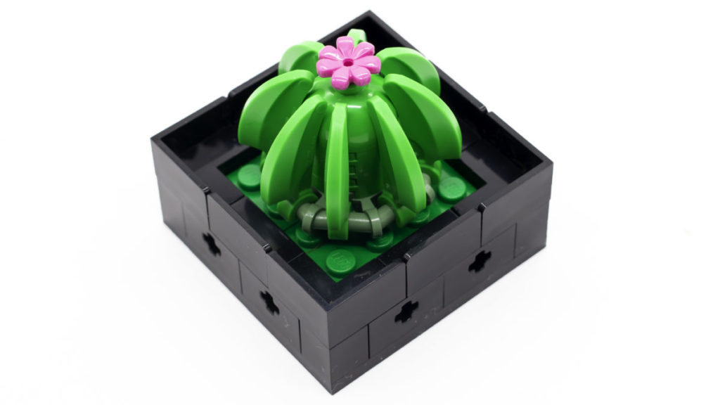 LEGO The Botanical Collection 10309 Succulents 21 1024x576
