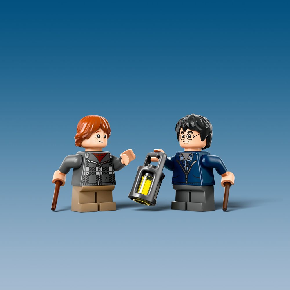 LEGO Harry Potter 76434 Aragog in the Forbidden Forest 4