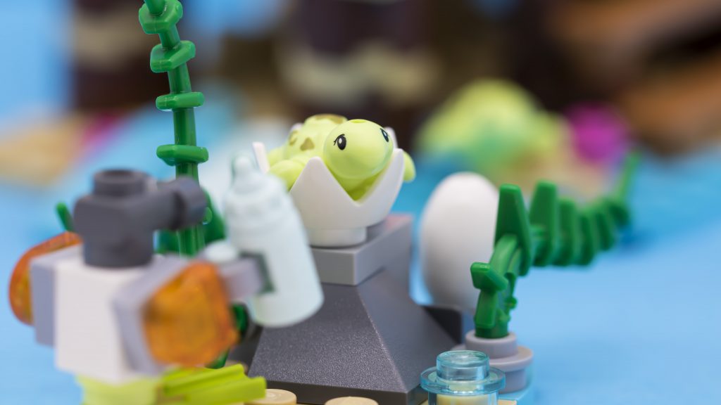 turtle in egg 1024x576