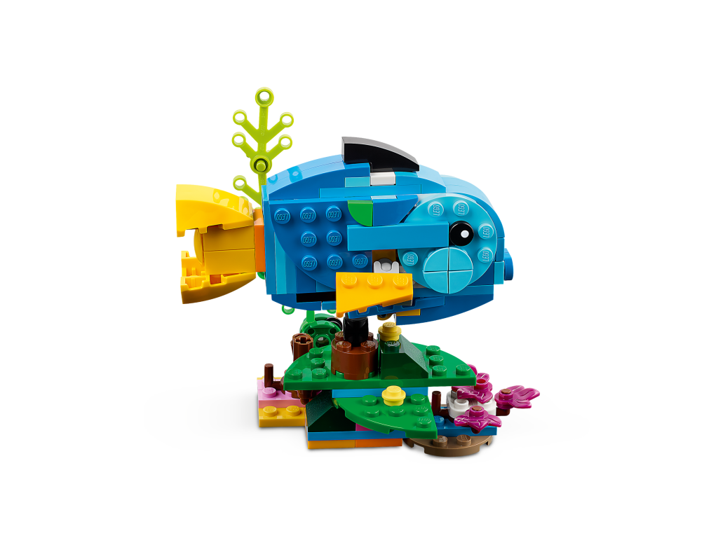 31136 Exotic Parrot 5 1024x768