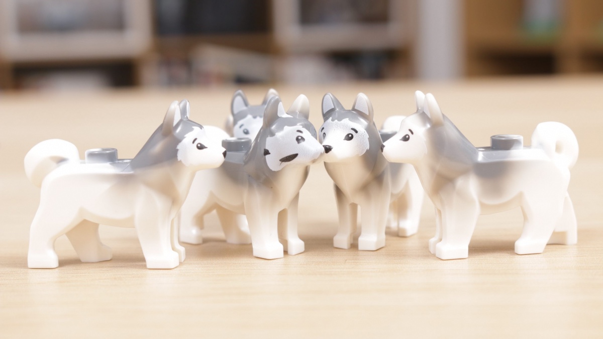 Last chance to win the world’s weirdest LEGO dog with Brick Fanatics