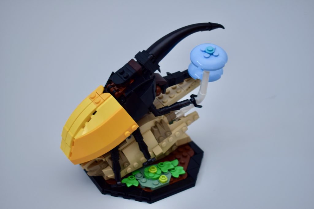 LEGO Ideas 21342 The Insects Collection Review 56 1024x683