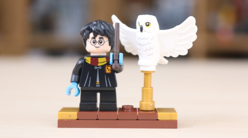Five sets we want to see from LEGO Harry Potter in 2021