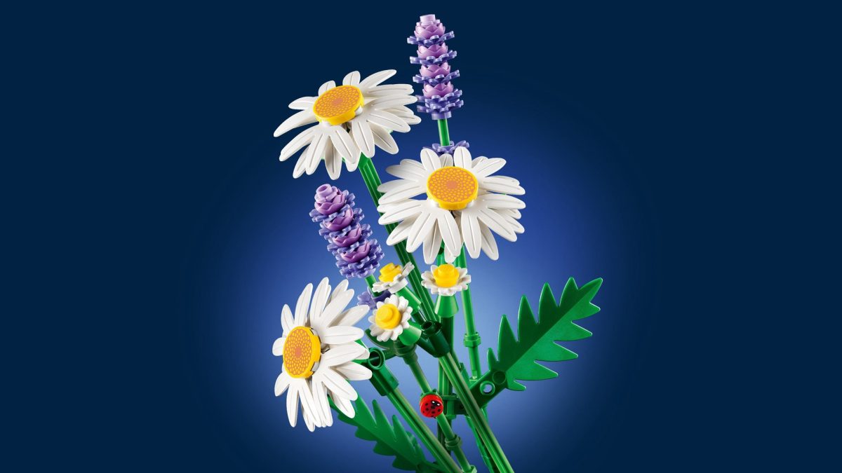 LEGO Botanicals 11508 Daisies 18 1200x675