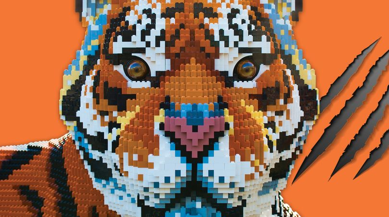Big cat LEGO exhibition opens at Chester Zoo today